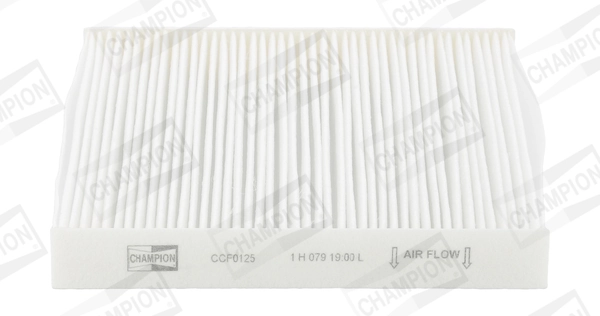 Filter, cabin air CCF0125