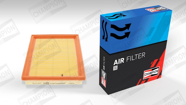 Air Filter CAF100810P