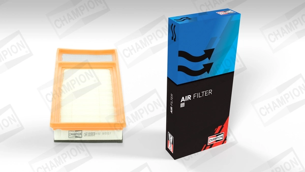 Air Filter CAF100997P