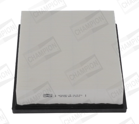 Air Filter CAF101183P