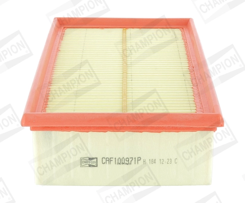 Air Filter CAF100971P