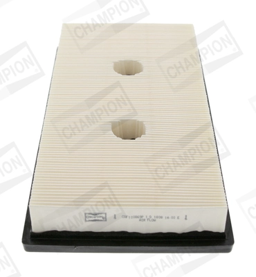 Air Filter CAF100869P