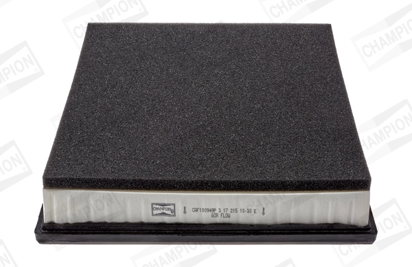 Air Filter CAF100949P