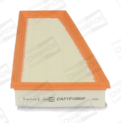 Air Filter CAF101080P