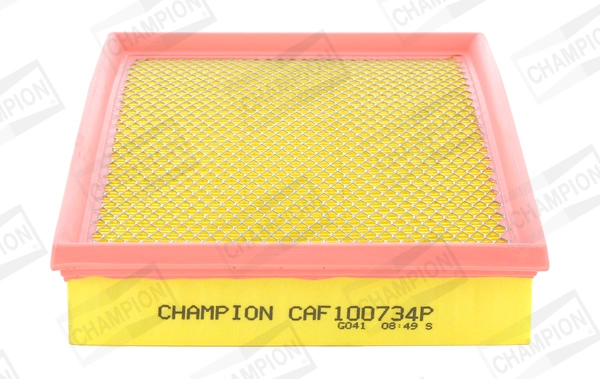 Air Filter CAF100734P
