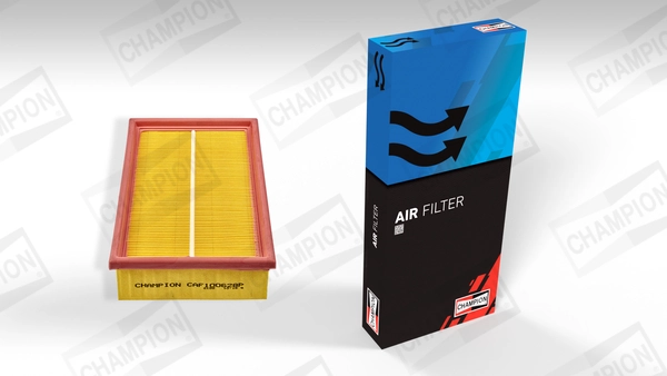Air Filter CAF100628P