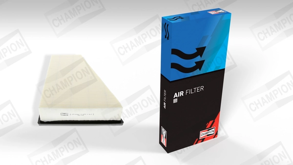 Air Filter CAF100706P