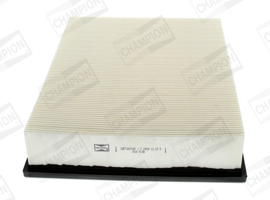 Air Filter CAF100733P