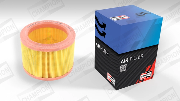 Air Filter CAF100233R