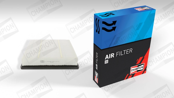 Filter udara CAF100838P
