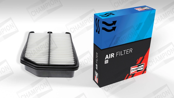 Air Filter CAF100882P