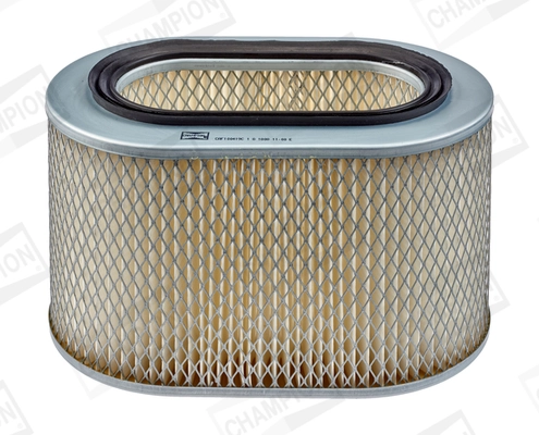 Air Filter CAF100419C