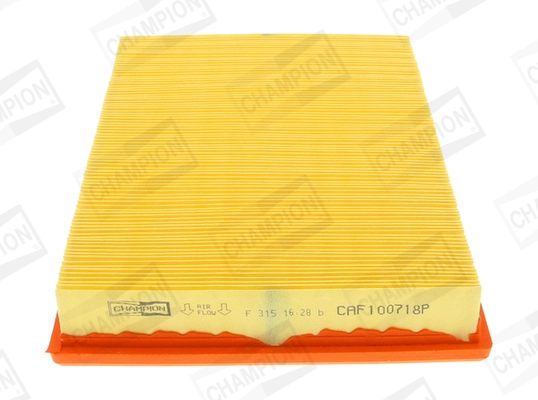 Air Filter CAF100718P