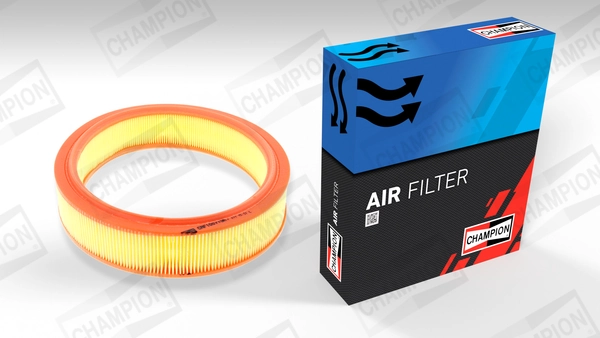 Air Filter CAF100719R