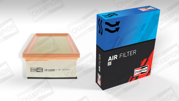 Air Filter CAF100895P