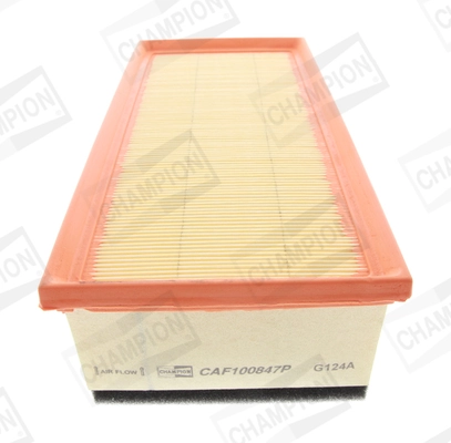 Air Filter CAF100847P