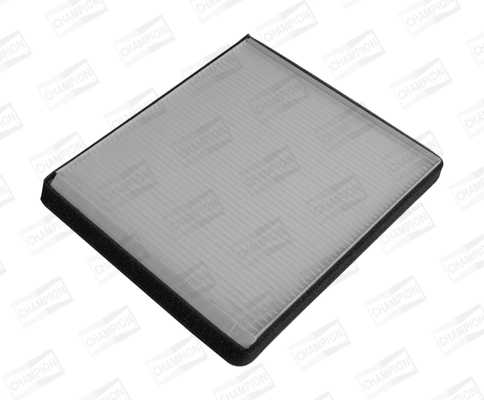 Filter, cabin air CCF0245
