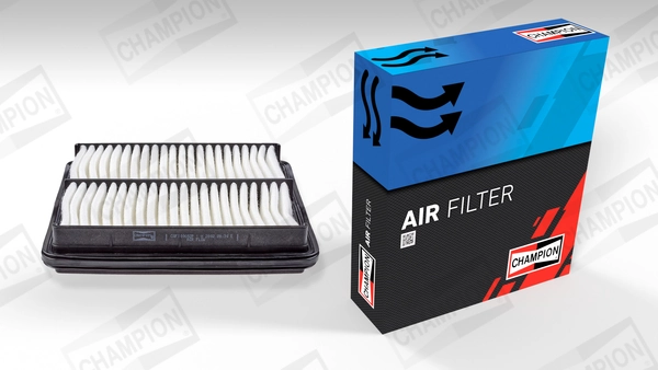 Air Filter CAF100682P