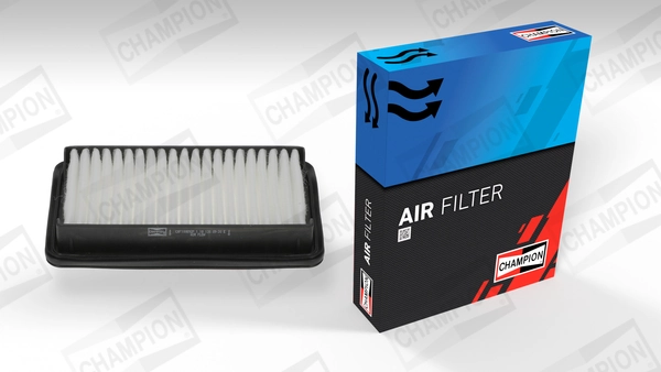 Air Filter CAF100892P