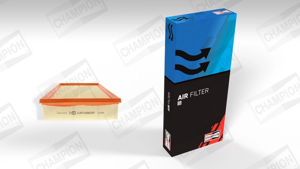 Air Filter CAF100823P