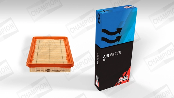 Air Filter CAF100522P