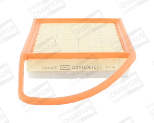 Air Filter CAF100916P