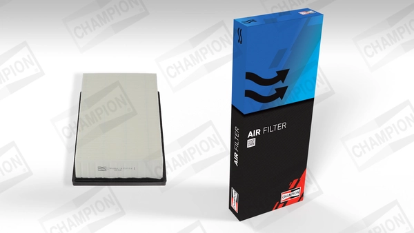 Air Filter CAF100950P