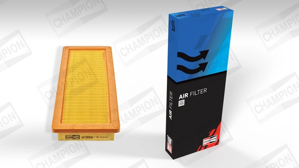 Air Filter CAF100929P