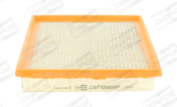 Air Filter CAF100856P