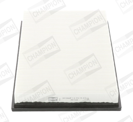 Air Filter CAF100668P