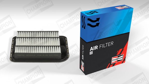 Air Filter CAF101011P