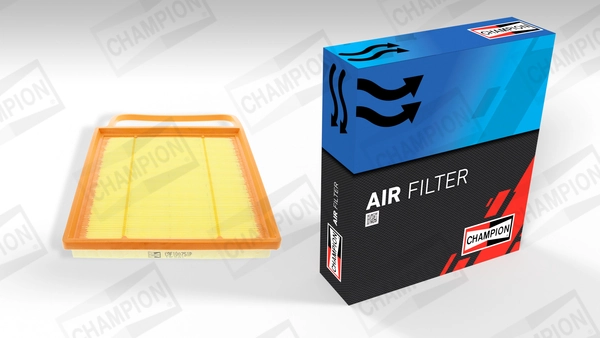 Air Filter CAF100751P