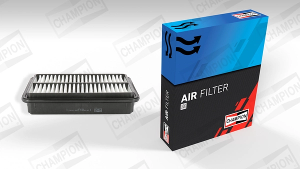 Air Filter CAF100825P