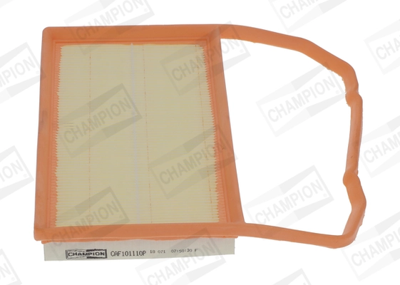 Air Filter CAF101110P
