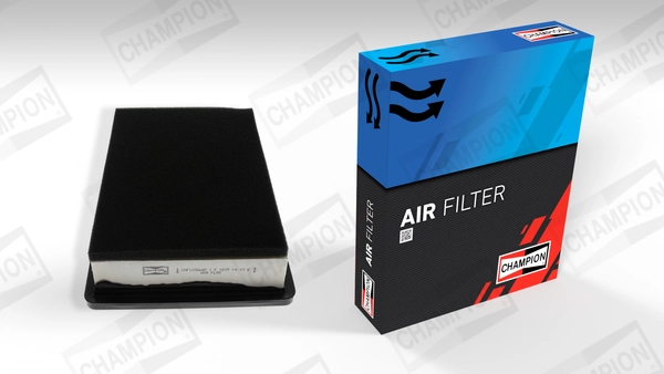 Air Filter CAF100564P