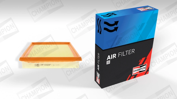 Air Filter CAF100684P