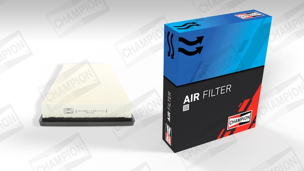 Air Filter CAF100685P