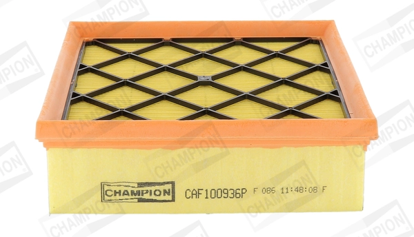 Air Filter CAF100936P