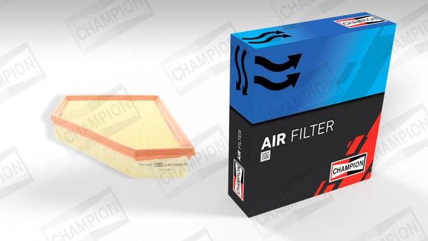 Air Filter CAF100887P