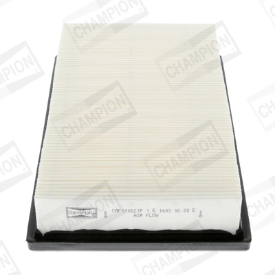 Air Filter CAF100521P