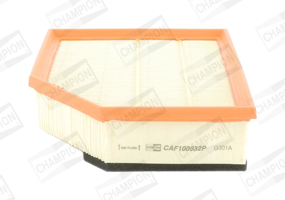 Air Filter CAF100932P