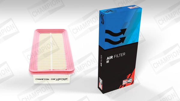Air Filter CAF100792P