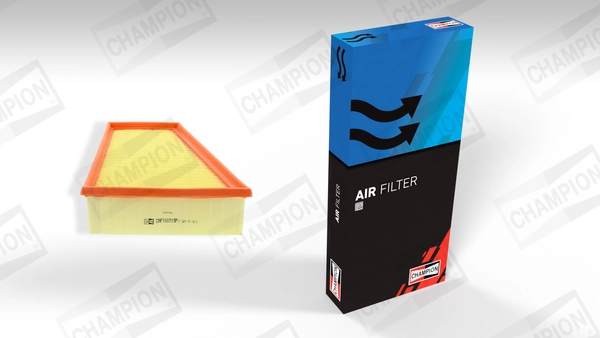 Air Filter CAF100719P