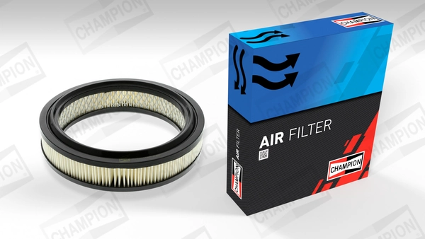 Air Filter CAF100107R