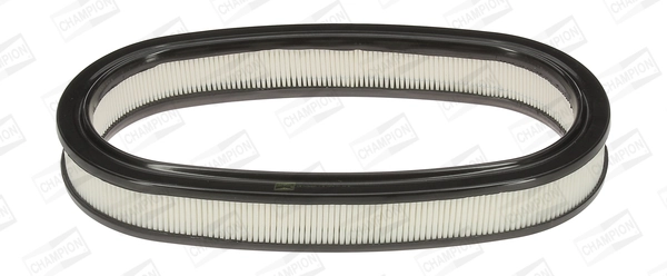 Air Filter CAF100225R