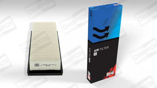 Air Filter CAF100647P