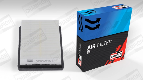 Air Filter CAF101301P