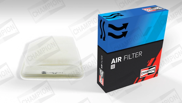 Air Filter CAF100874P