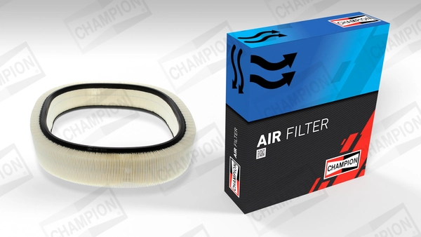 Air Filter CAF100229R