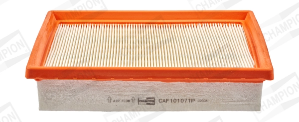 Air Filter CAF101071P